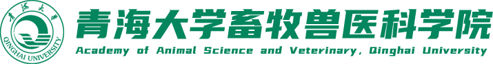 yh1122银河国际